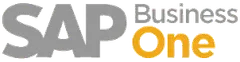 SAP Business One logo – supported accounting system